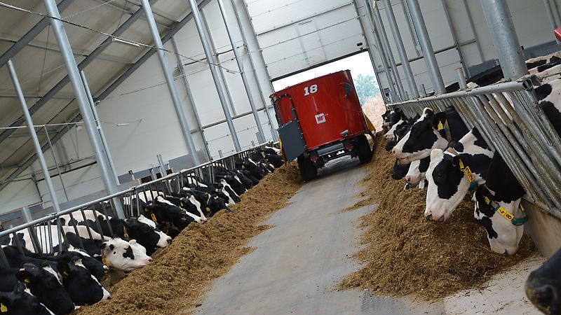 Metal-fach T659 5m3 Optimal Futtermischwagen | Best-Preis