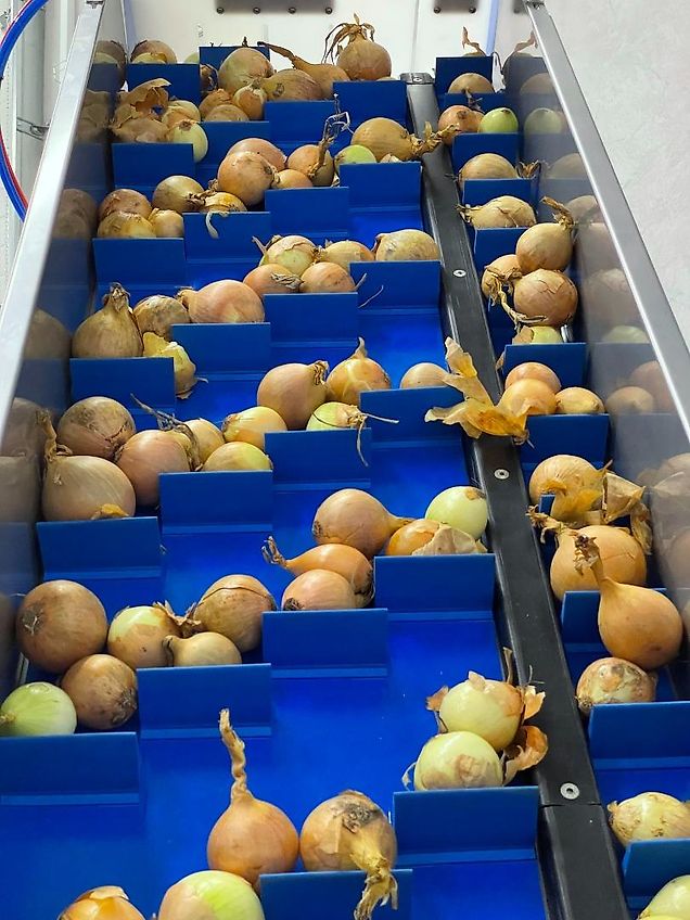 SORPAC Wäge-Raschelmaschine AWRM02 INOX ( FISCHBEIN)