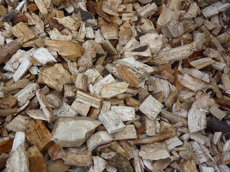 Eschlböck Biber 70 kein Jenz, Heizohack, Pezzolato, MUS MAX,