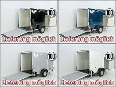 Debon Kofferanhänger Cargo 1300 Vollpoly 150x290cm H:160cm|Tür