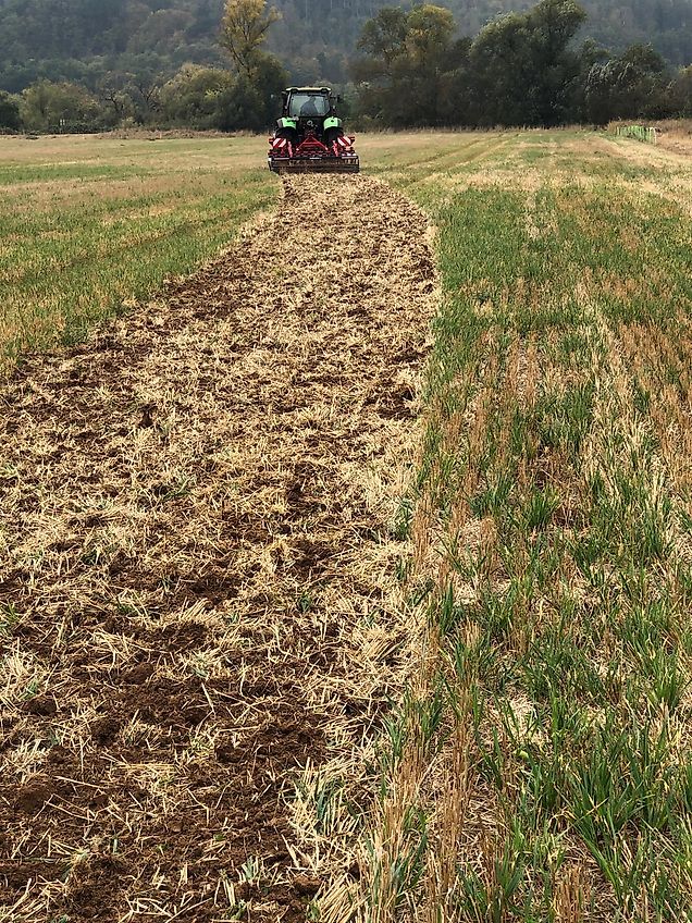 Minos Agri Kurzscheibenegge 3m YDTM 20 **NEU**