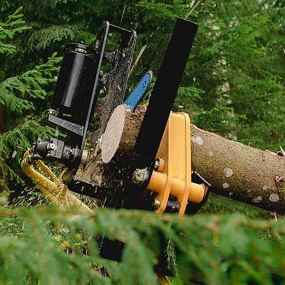 MD Kellfri Schubentaster